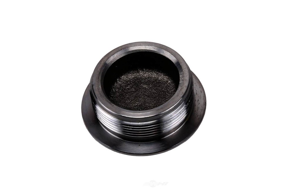Differential Carrier Fill Plug