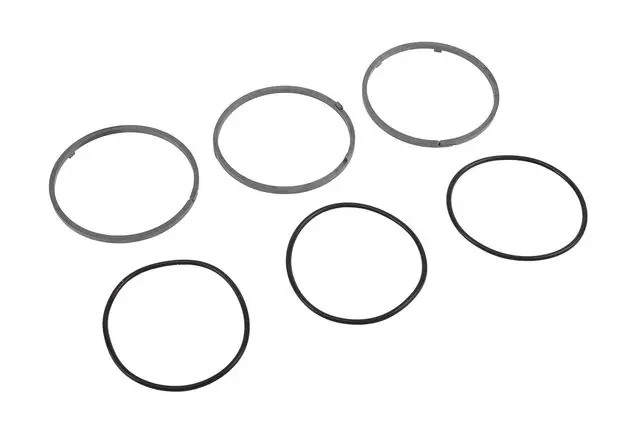 Genuine GM Ring Kit 24054655