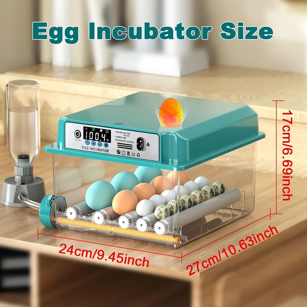 16 Egg Digital Incubator with Automatic Turning for Hatching Eggs