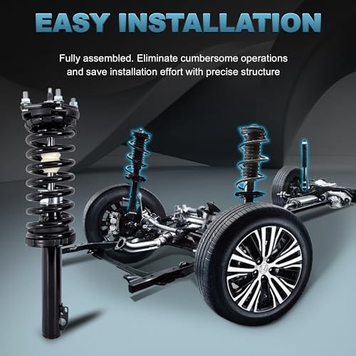 Front Struts & Coil Spring Assembly Shock Absorber 172245 Compatible for Scion