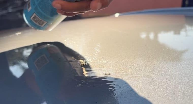 Panel Prep Remove Contaminants Prepare Surface 16 fl 1-bottle