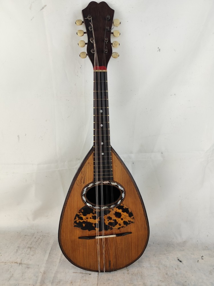 Mandolin 4/4 Raffaele Disantino 1915 曼陀林 만돌린マンドリン