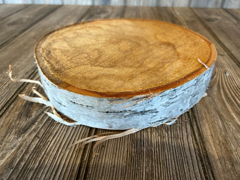 White Birch Slice Approximately 9 Inches Diameter