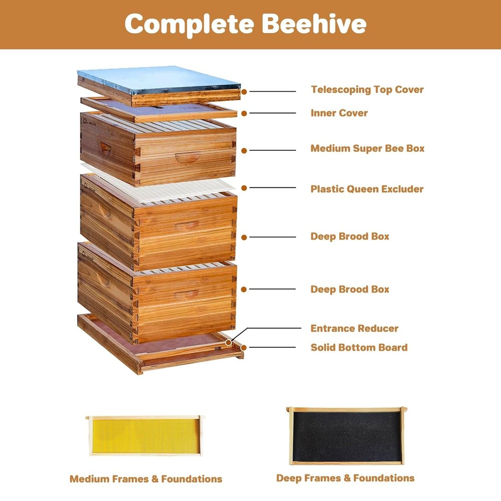Langstroth Hive Beehive Kit - 30 Frame Box, 20 Deep, 10 Medium Frames Wax-Coated