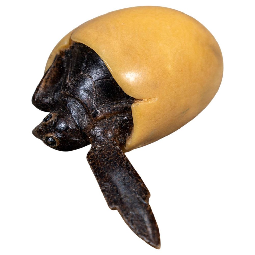 Sea Turtle Emerging From Egg Tagua Carving