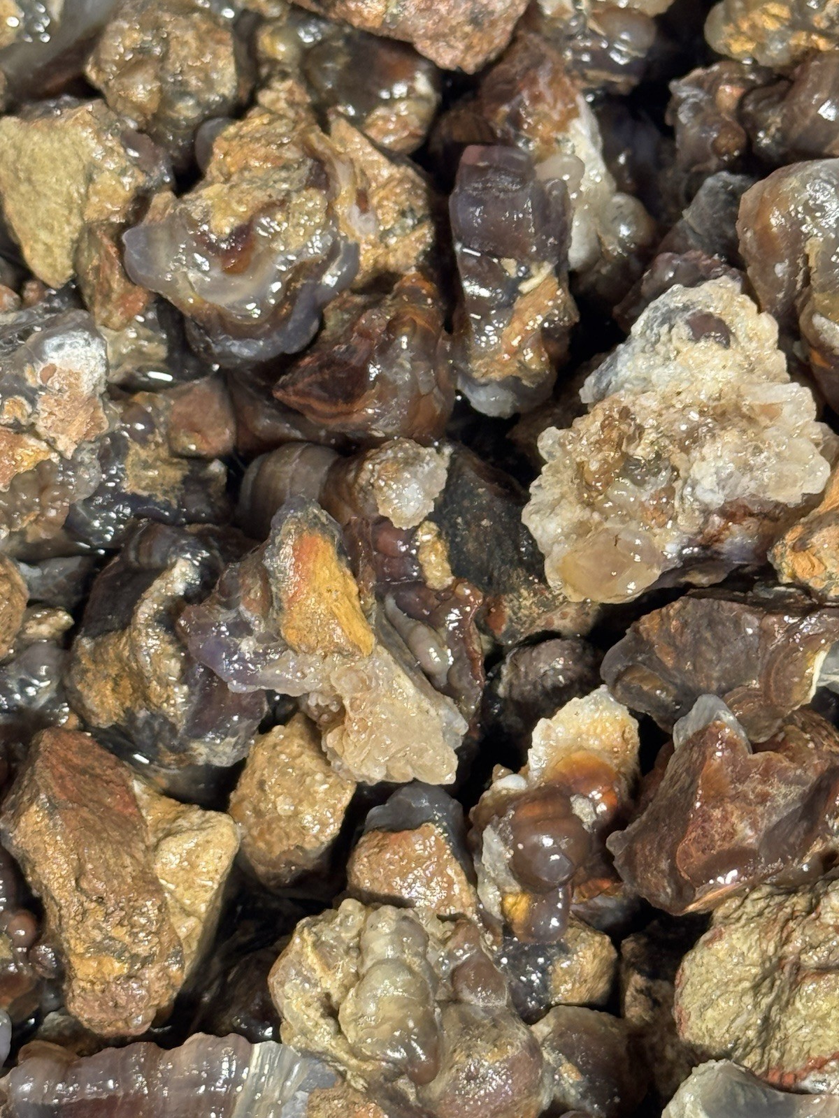 1/2 Lb Mid to Choice Grade Fire Agate Smalls Untreated Colorful Blind Grab Rough