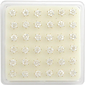 Acrylic Nose Display Box