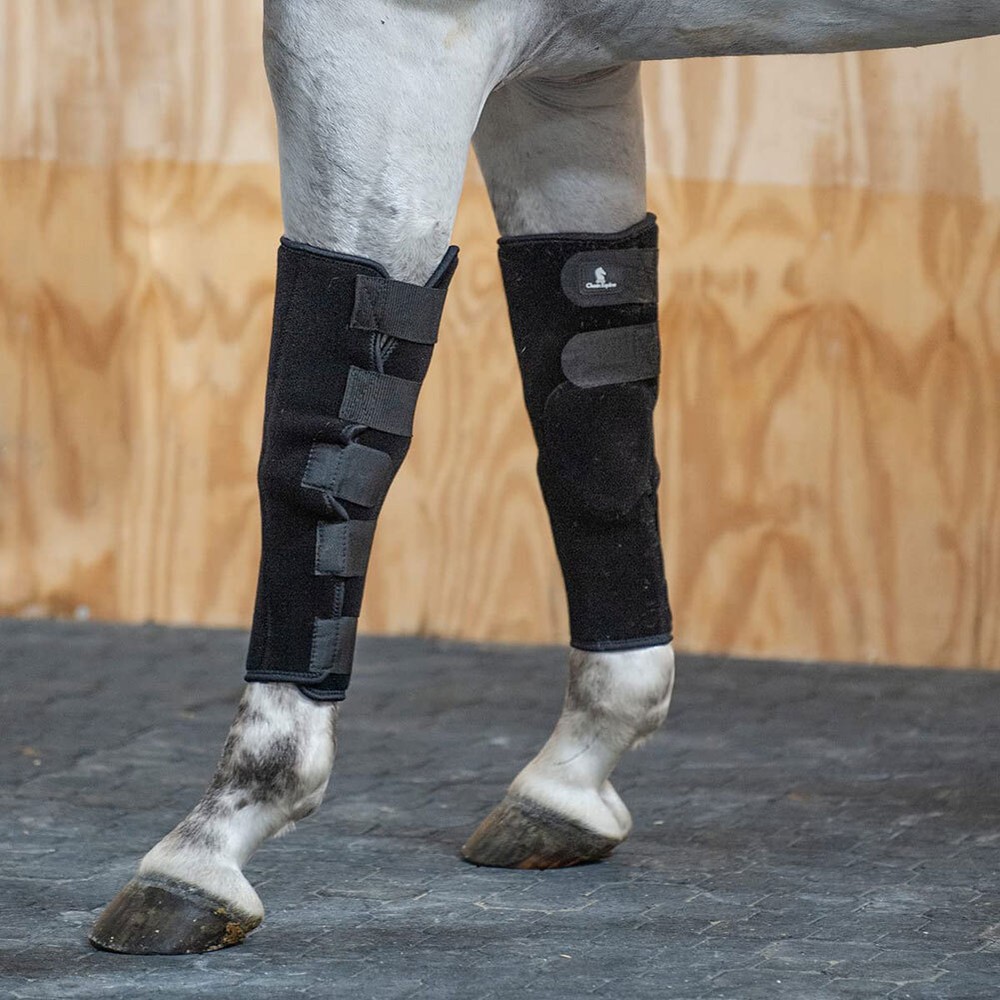 CLASSIC EQUINE Black Breeding Boots (BREEDINGBOOTS)
