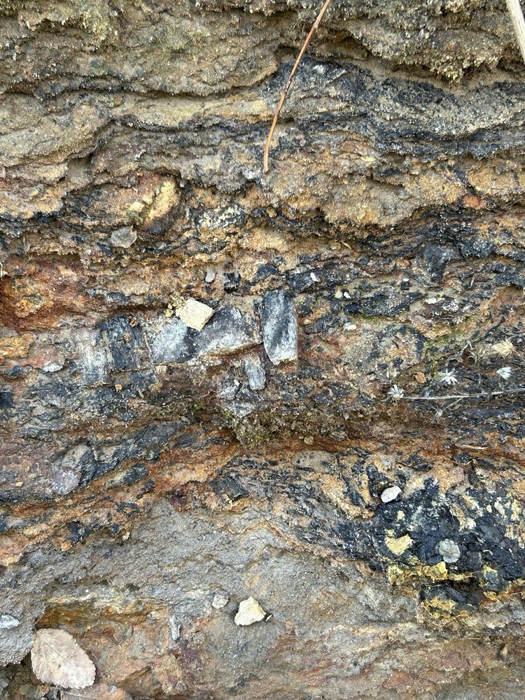 Lower Eagle Ford Cretaceous Coal Zone- Carbonized Dinosaur Age Material, Texas