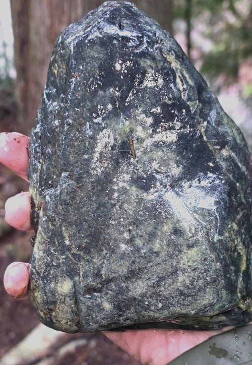 Nephrite Jade Rough Raw Green Rock Stone Washington State North Cascades Green