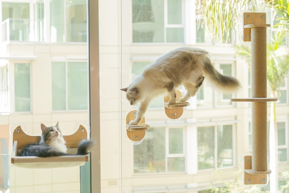 4-in-1 Window & Wall Mount Cat Wall Shelves – Hammock, Scratching Post & P