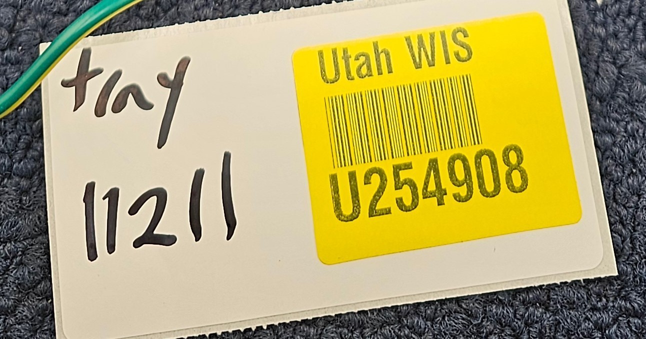 Eaton CHSPT2SURGE10: Home Surge Protection 60,000 AMPS