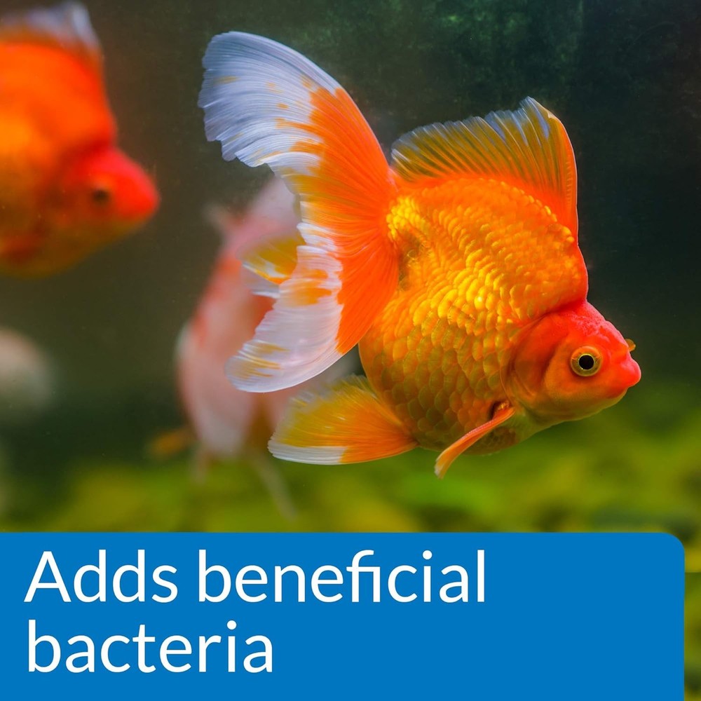 Goldfish Aquarium Cleaner