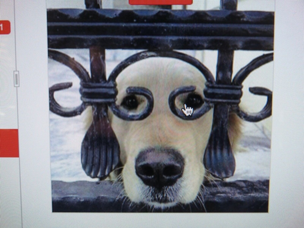 ✅🔥🧯AMEREX O.E.M. HOOK & LOOP HANGER WITH SET/LOCKING SET SCREW🔥🧯