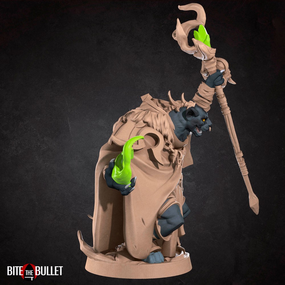 Tabaxi - Warlock / Wizard - Bite the Bullet - Dungeons and Dragons