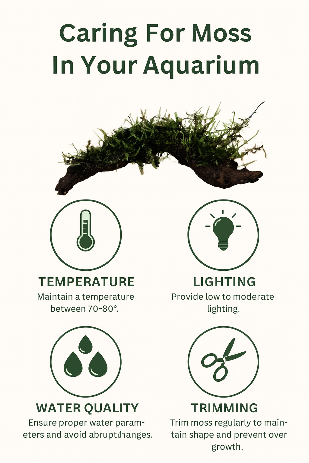 Moss On DriftWood Live Aquarium Plants