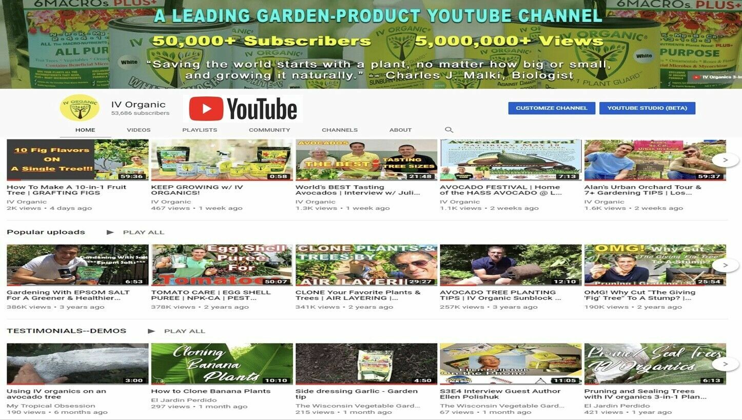 IV Organic White Wash, 1 Pint (BROWN)