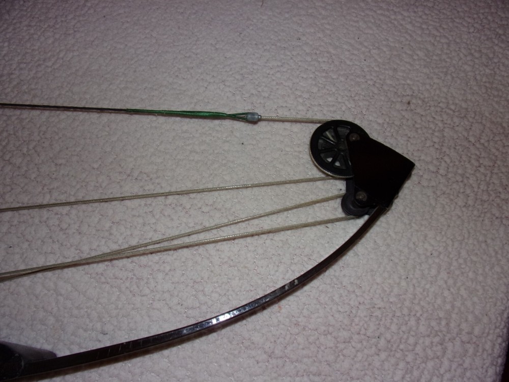 Bear Archery Whitetail Hunter Compound Bow