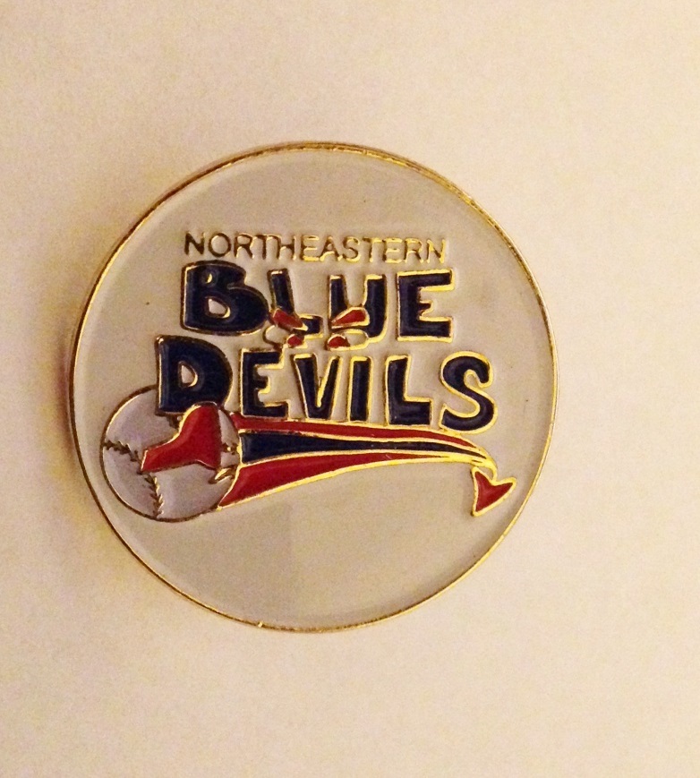 Northeastern Blue Devils Pin