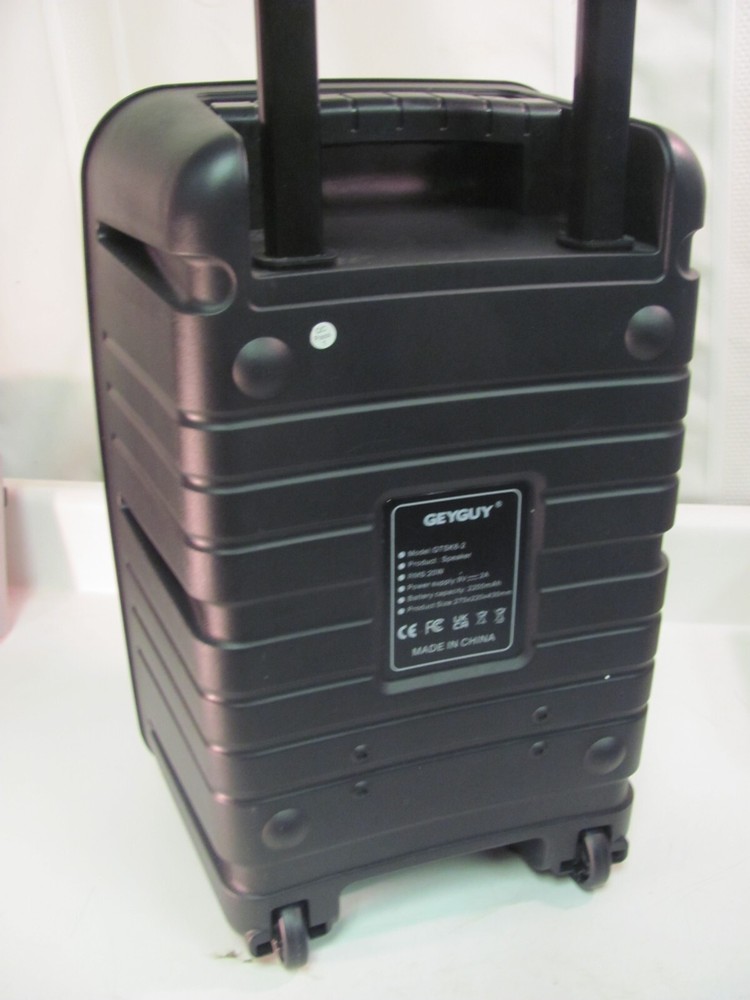 GEYGUY GTSK8-2 Bluetooth PA Karaoke Speaker Machine