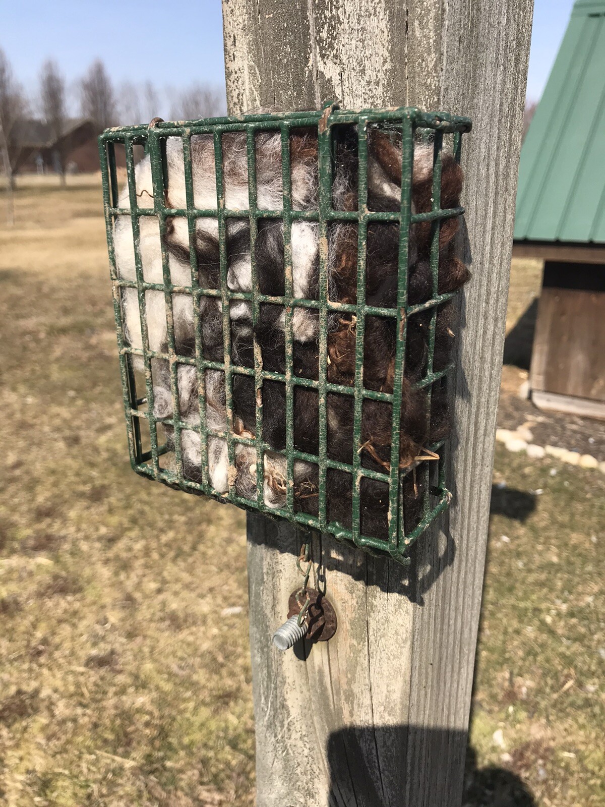 Natural Alpaca Fleece Bedding Nesting Material 