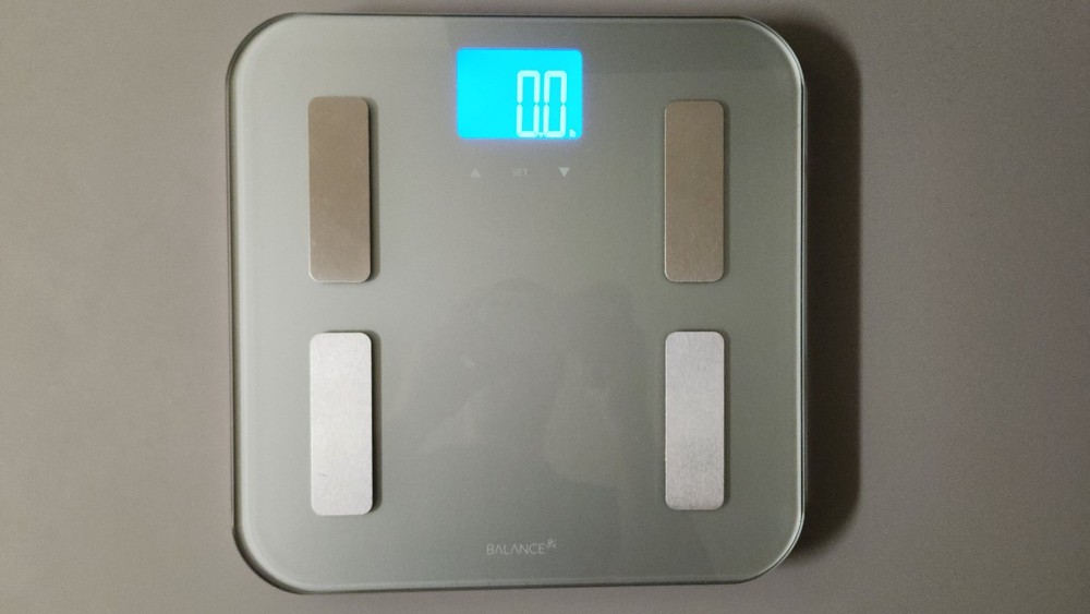 "Greater Goods" smart scale (digital/composition scale). With batteries.