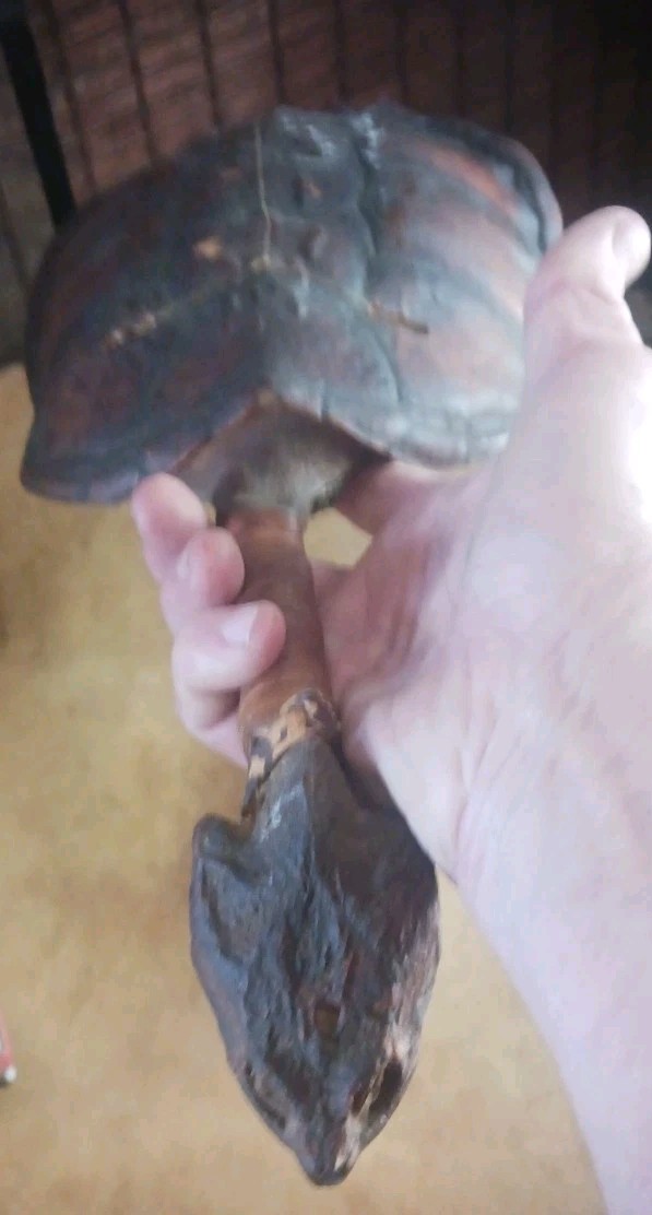 **AWESOME ANTIQUE NATIVE AMERICAN CEREMONY RATTLE OJIBWA SHAMAN NICE! *