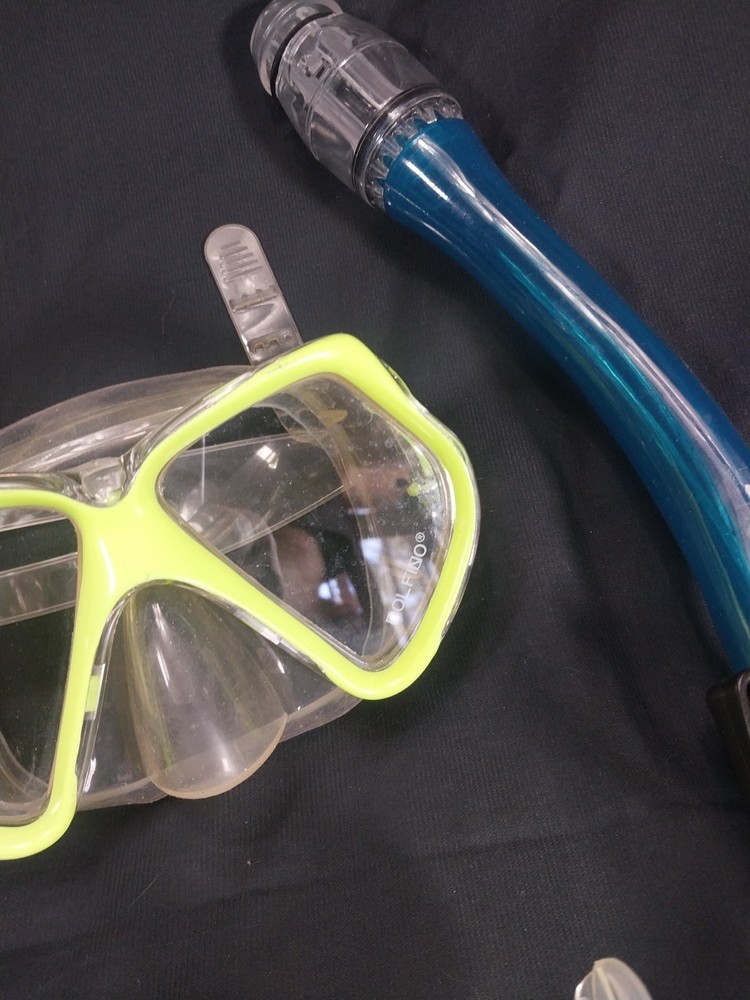 snorkel And Mask