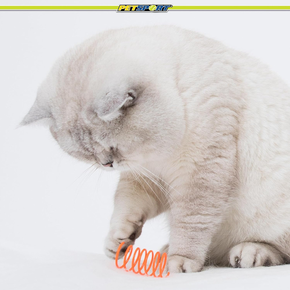 Cat Springs - Large - 8 Pk