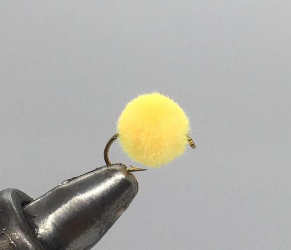 One Dozen (12) - Glowbug - Oregon Cheese - Egg