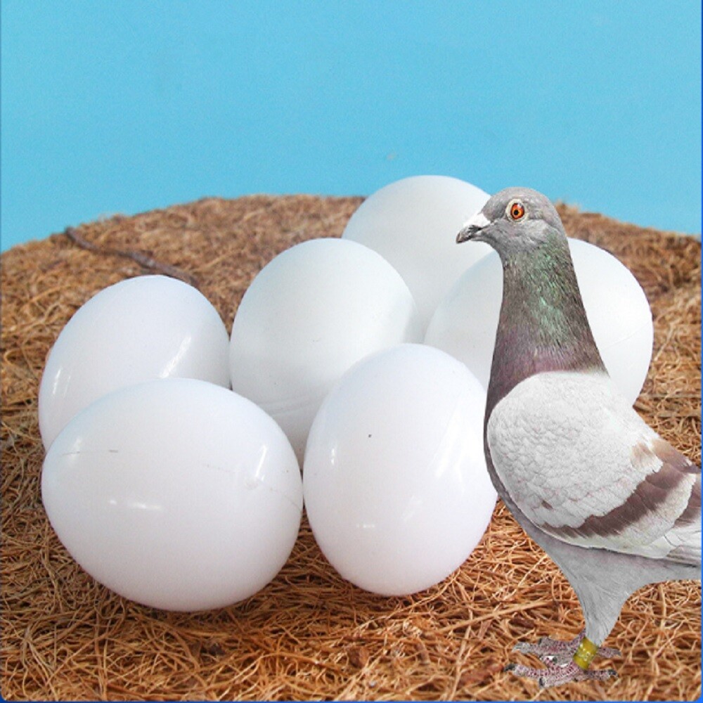 6pcs White Solid Plastic Pigeon Dove Eggs Dummy Eggs 4.5CM x 3CM Diameter 12g