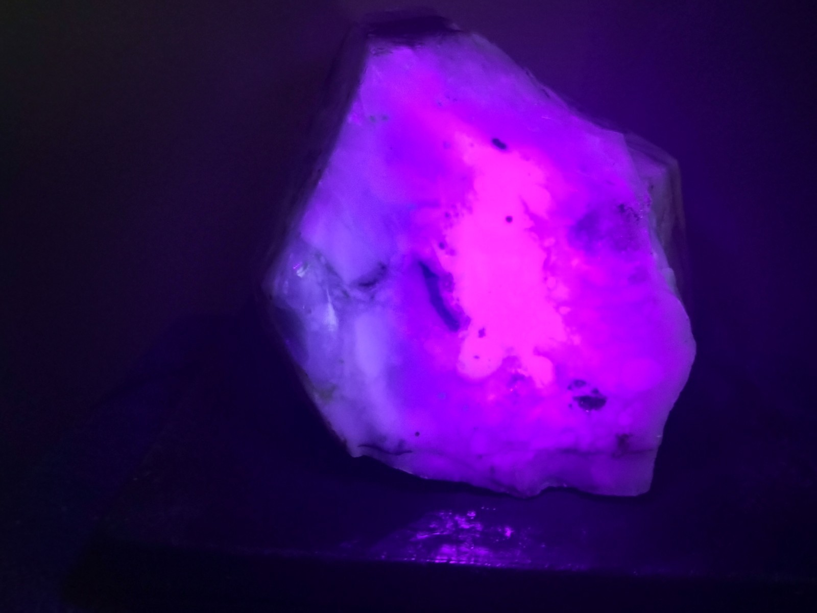 11.7LB UV Polka Dot Agate Rough From Ashwood, OR USA Cabochon/Slab Stock #25