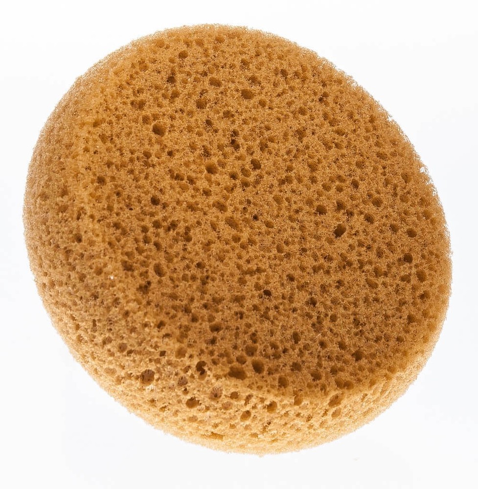 Hydra Honeycomb Form Tack Sponges, each