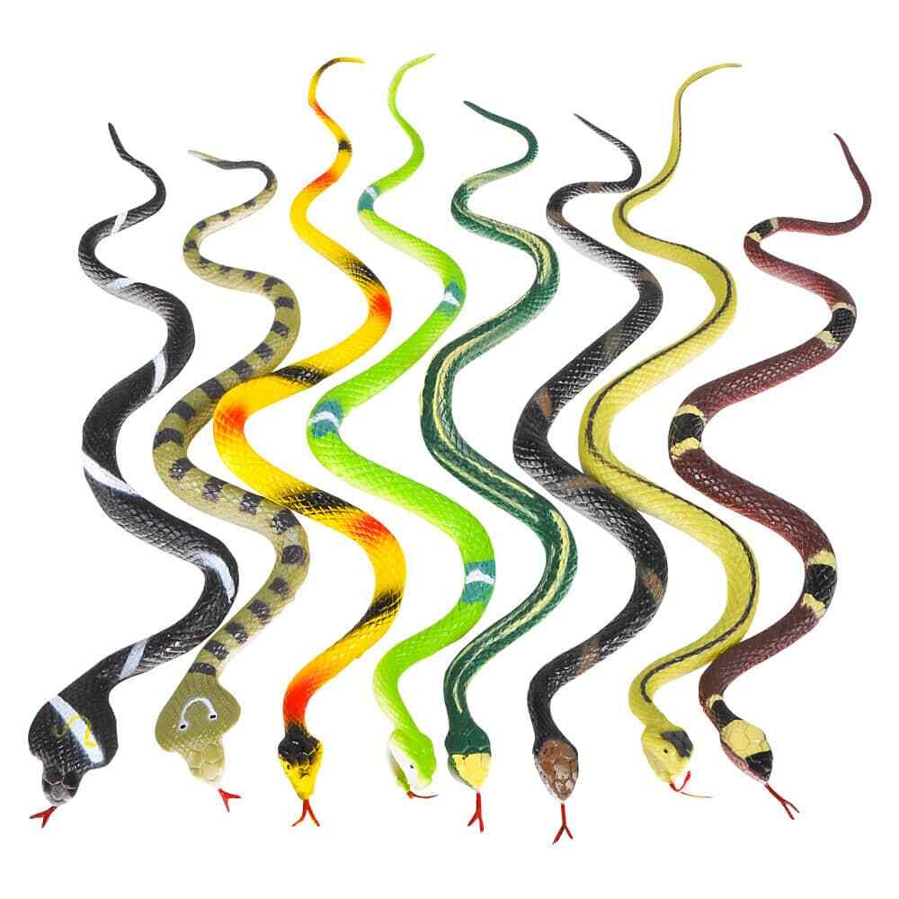 Snakes Rain Forest 14"
