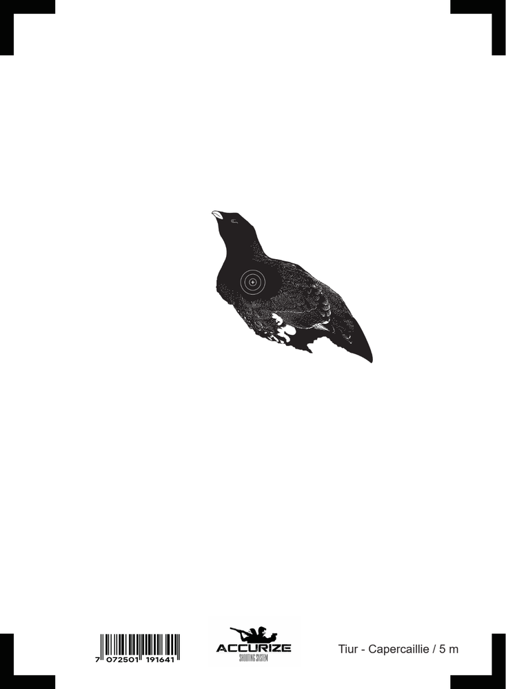 Front target for Accurize shooting system