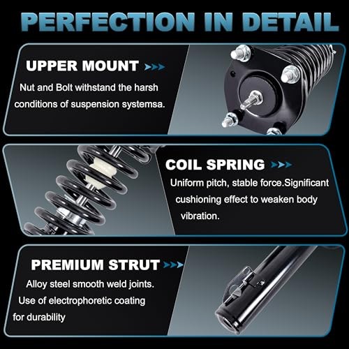 Front Struts & Coil Spring Assembly Shock Absorber 172245 Compatible for Scion