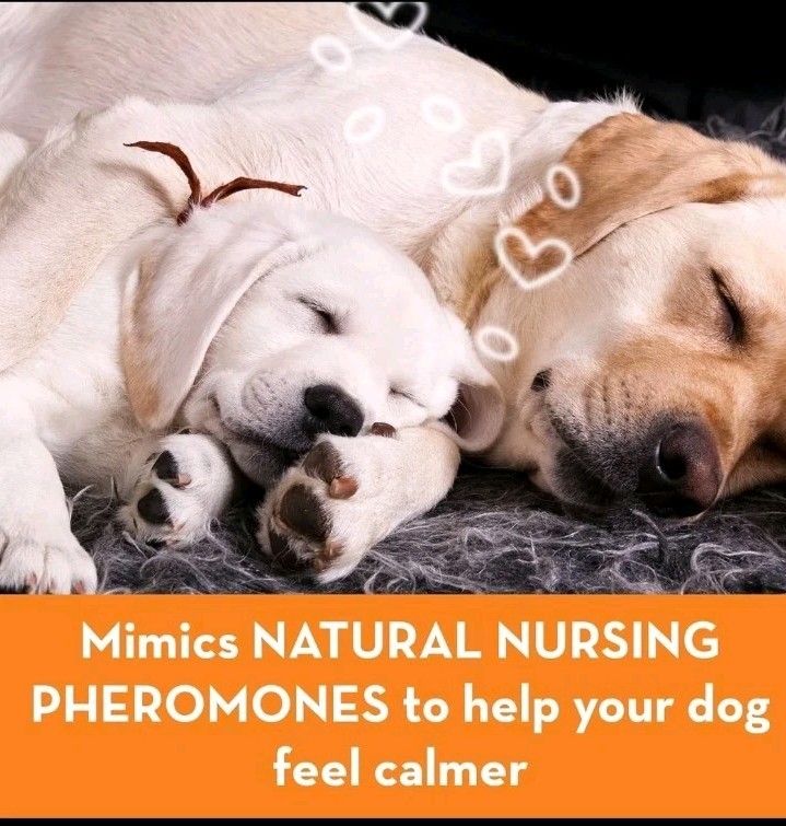 Dog Calming Pheromone Diffuser Refill | Powered by ADAPTIL | Vet Recommended