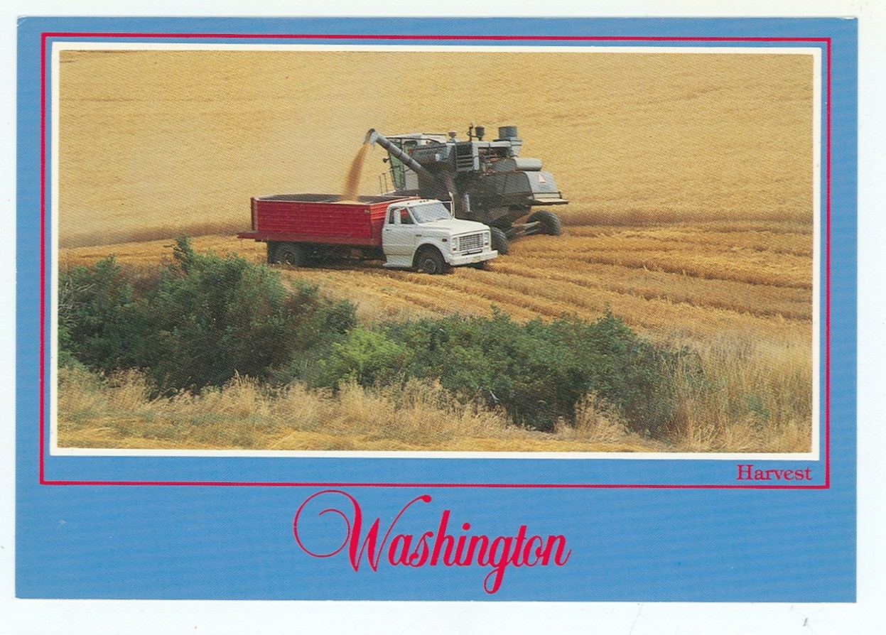 WASHINGTON-GOLDEN HARVEST-COMBINE-TRUCK-4X6-(FARM-299*)