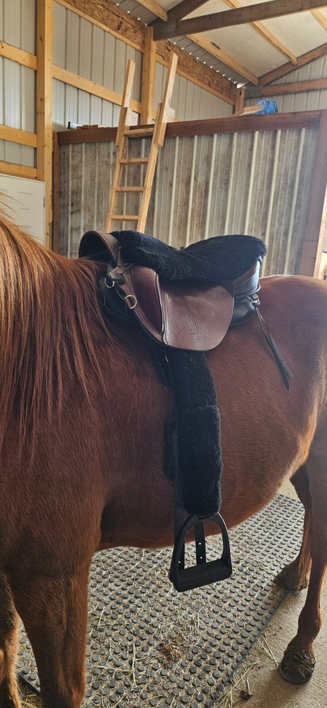 Ghost quilty piccolo endurance saddle