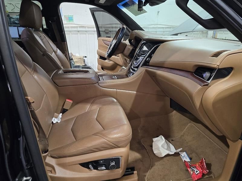 ESCALAESV 2017 Camera/Projector 590723