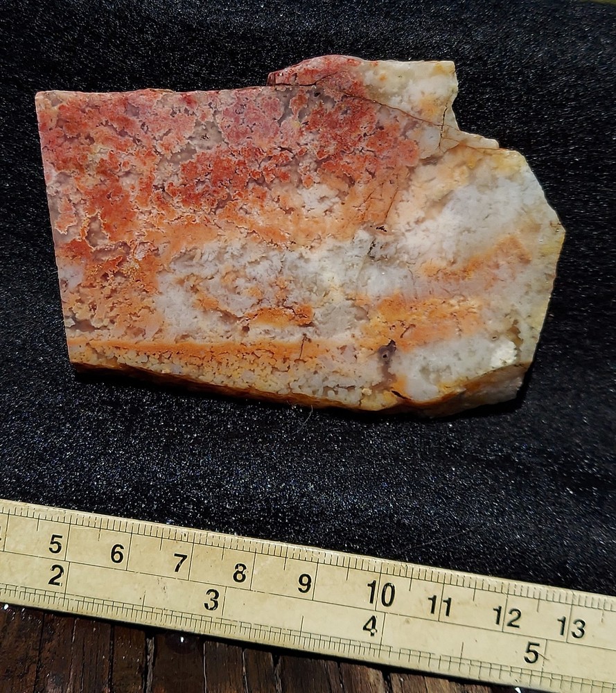 Feather Ridge Plume Agate Slab