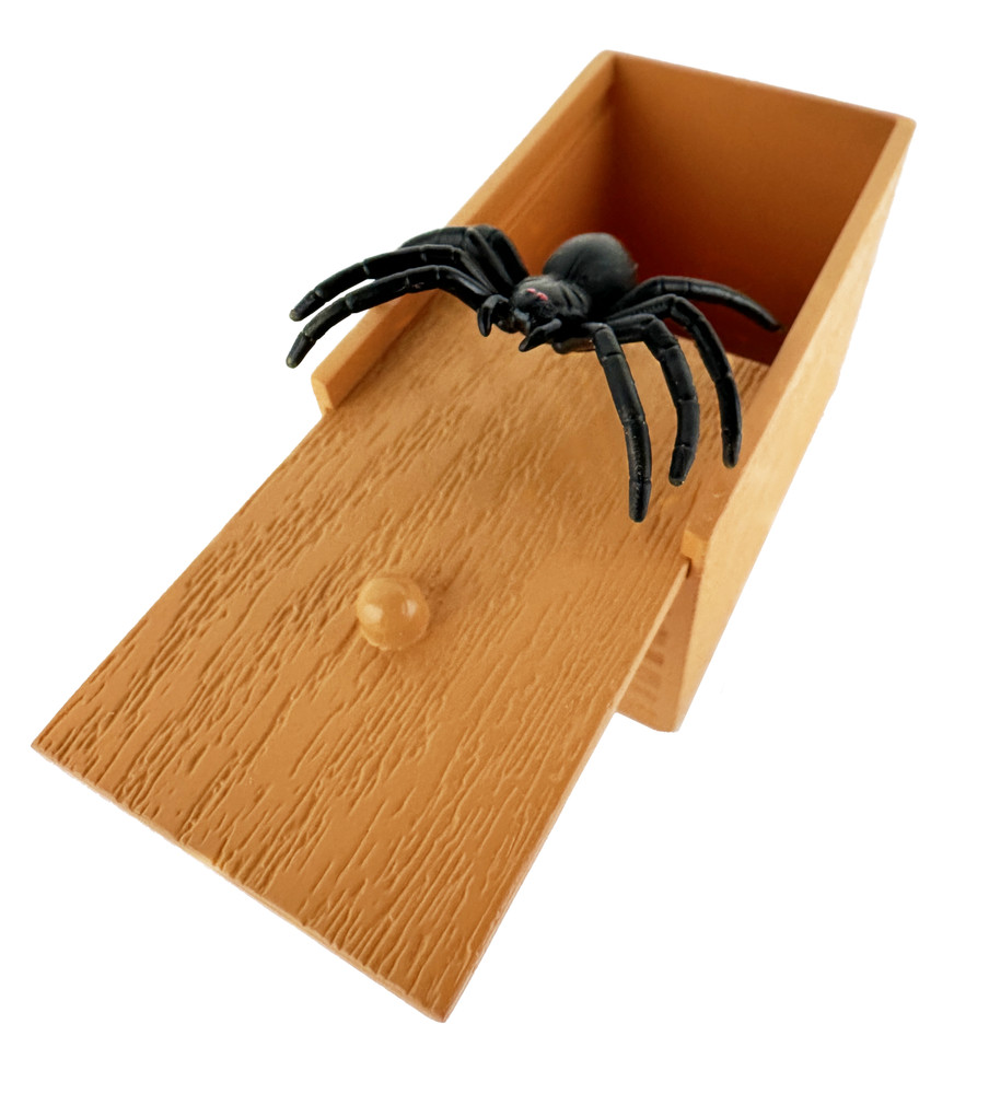 World's Smallest SPIDER BOX Scare Prank