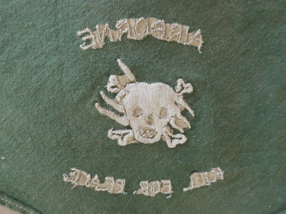 Special Forces Scarf ~ 1965 ~