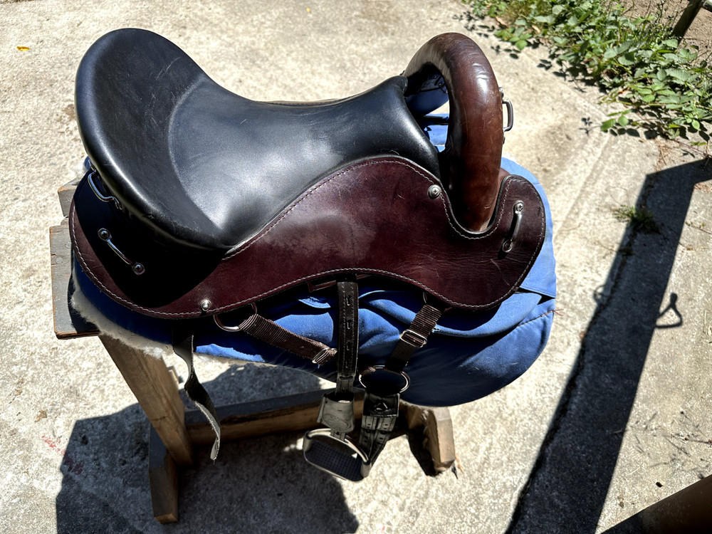 Evolutionary Saddle - The Minimalist Endurance Style Saddle 15"