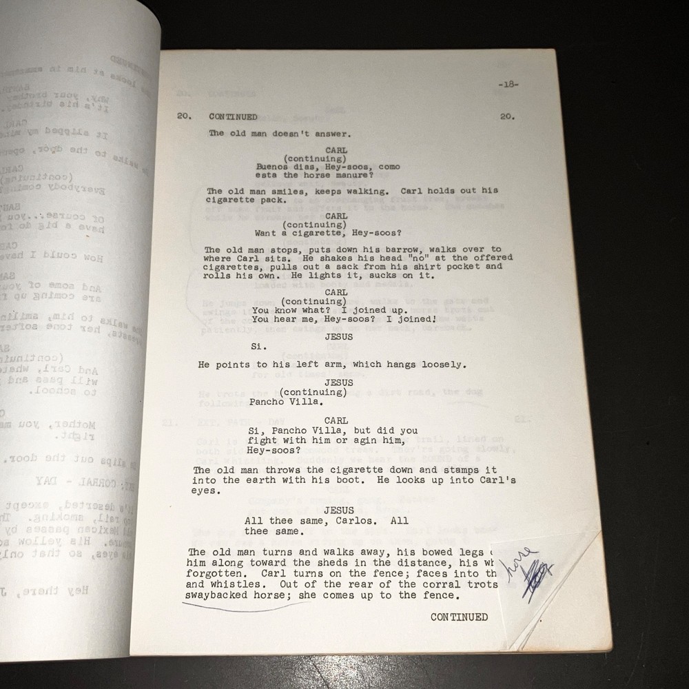 "HAIL, HERO!" (1969) Michael Douglas Debut / Dog Trainer Script w/Notes + COA!