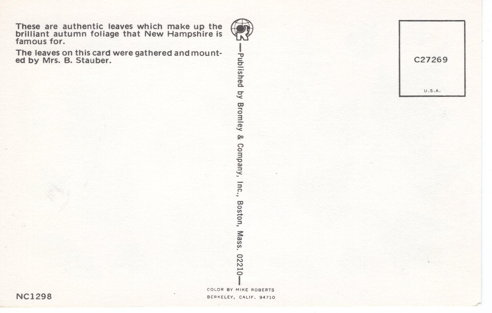 AUTHENTIC LEAVES, NEW HAMPSHIRE - PC5165