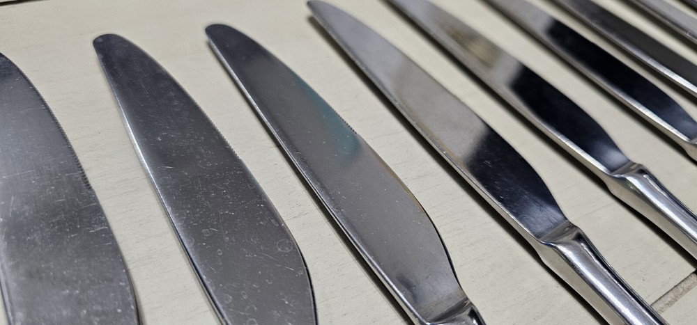 23-Folio Bryce-9.25 Inch Knives