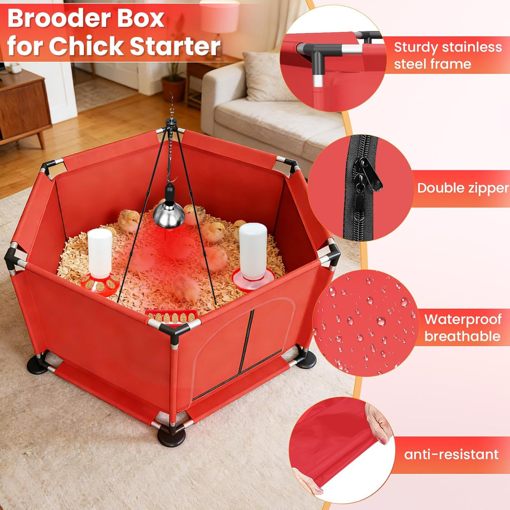 Chicks Brooder Box for Chicken Starter Kit–Includes Heat Lamp, Chick Feeder and