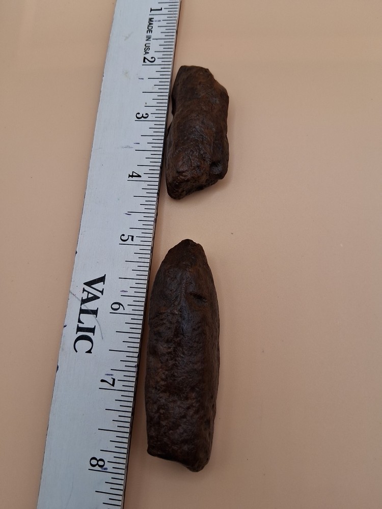 Fossilized Bone