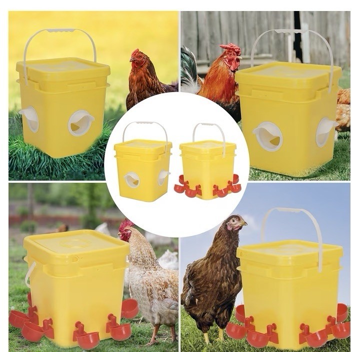 Automatic Chicken Coop Waterer And Feeder